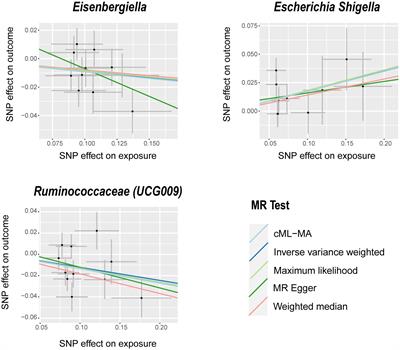 Association between gut microbiota and benign prostatic hyperplasia: a two-sample mendelian randomization study